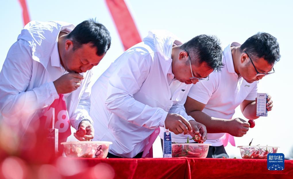 太阳城棋牌